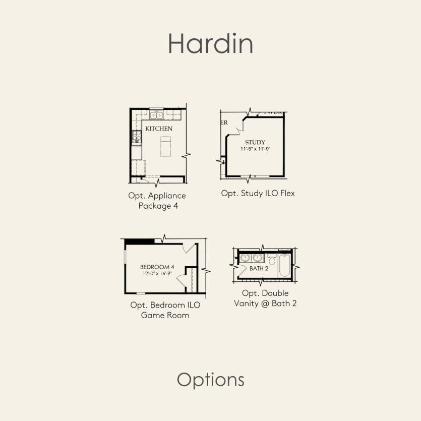 Options