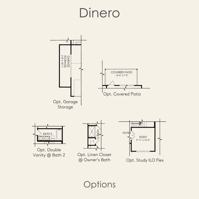 Options