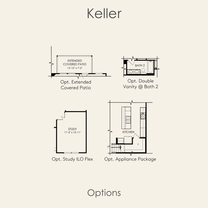 Options