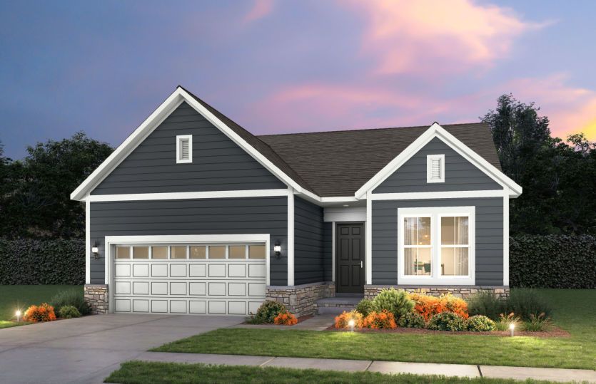 Elevation CT209