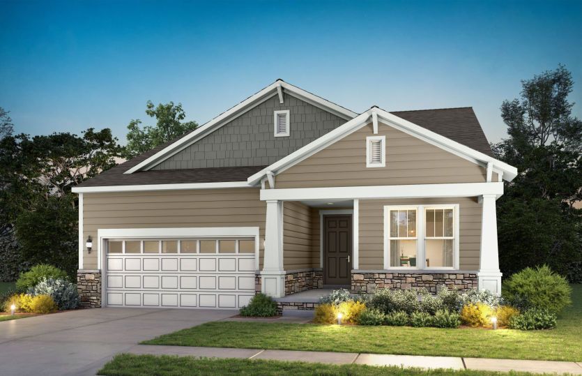 Elevation CR206