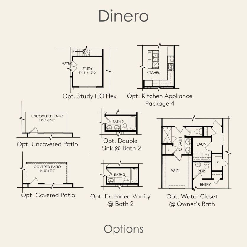 Options