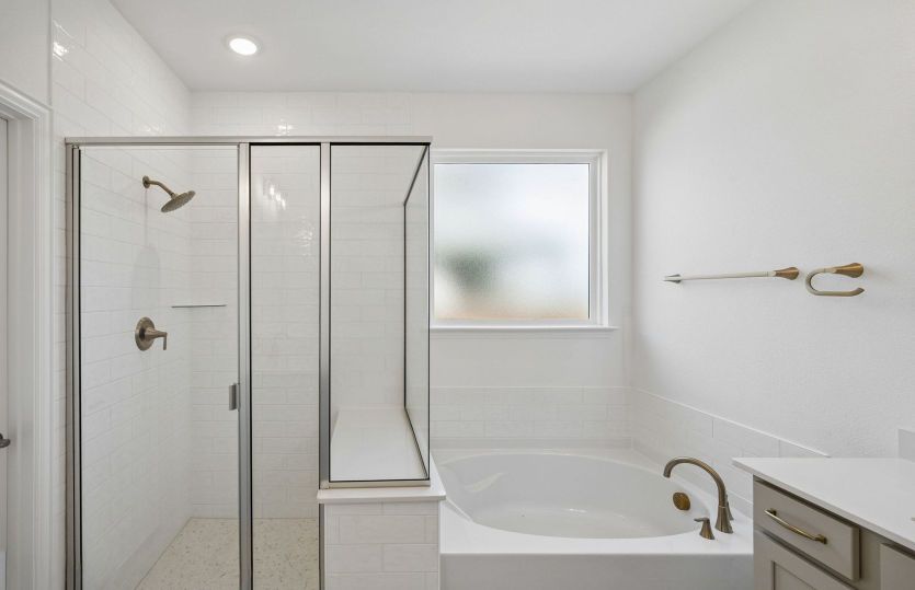 Tub and shower combo in owner's bath
