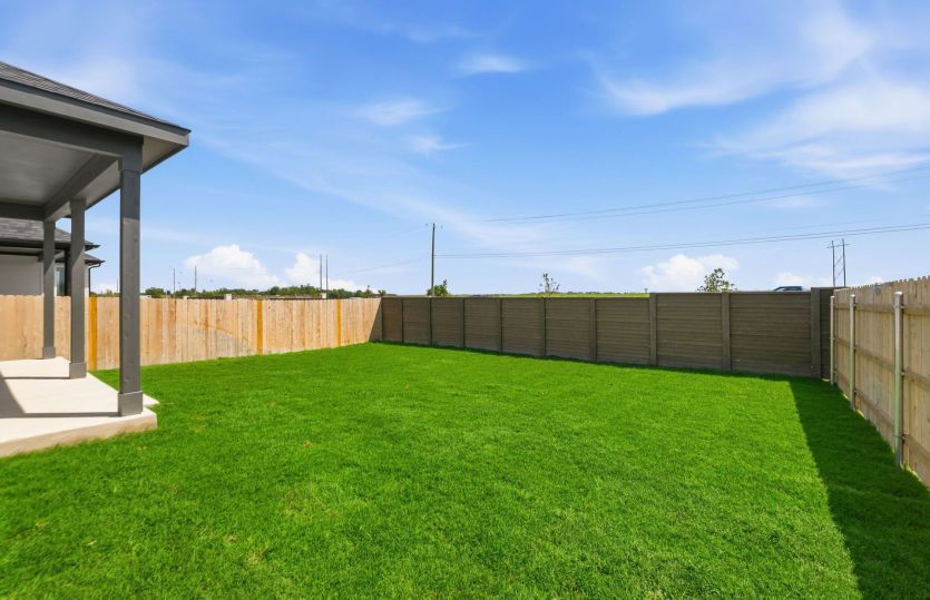 Backyard