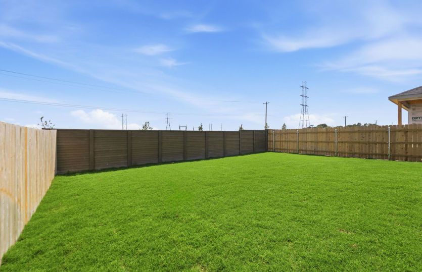 Backyard