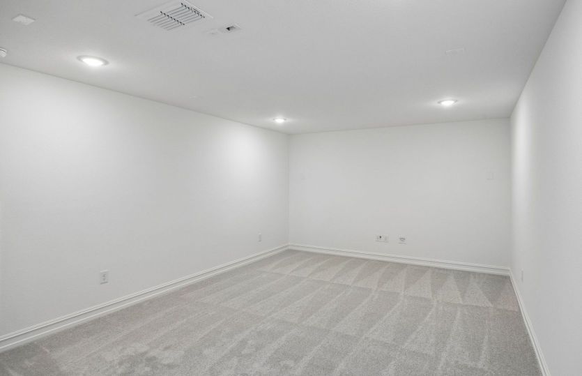 Spacious media room
