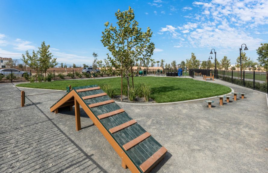 Dog Park