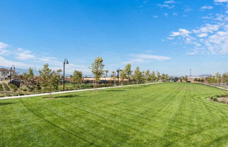 Community Park
