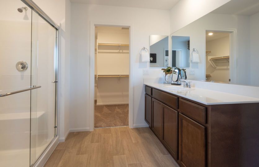 Owner's Bath