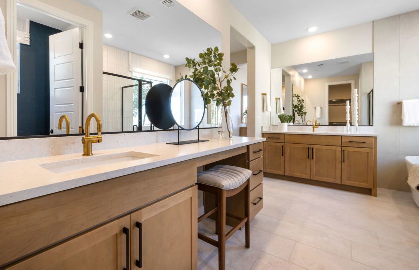 Owner's Bath