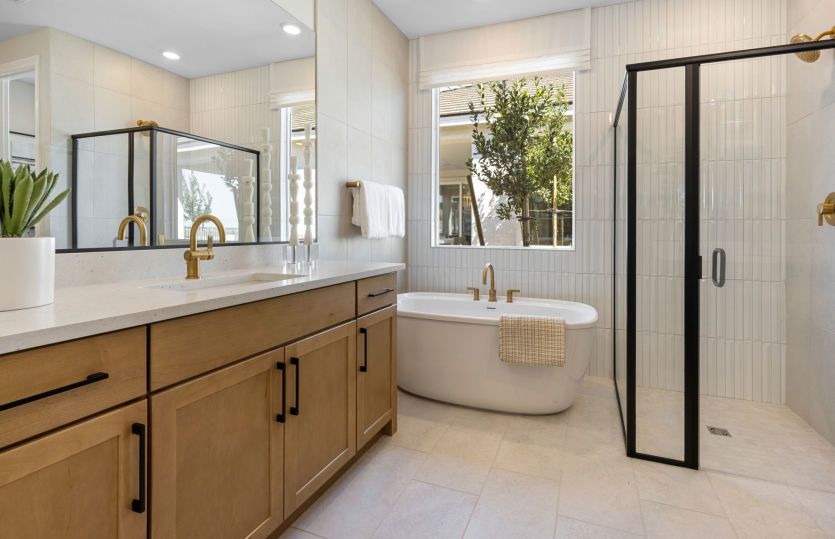Owner's Bath 2