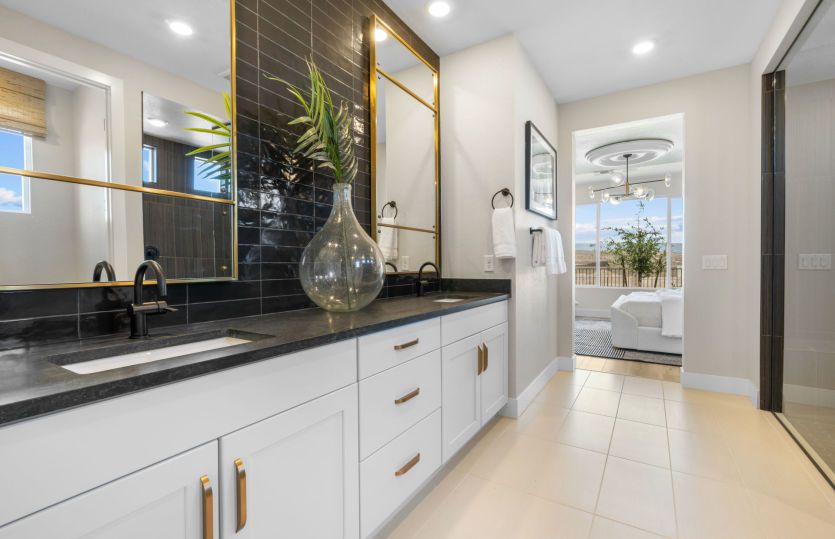 Owner's Bath