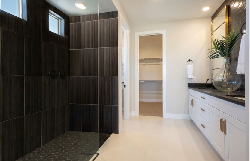 Owner's Bath
