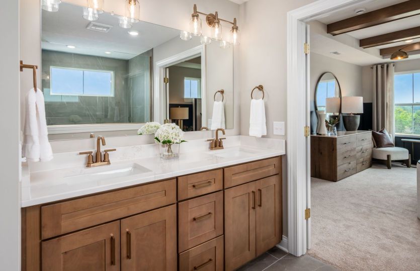 Owner's Bathroom
