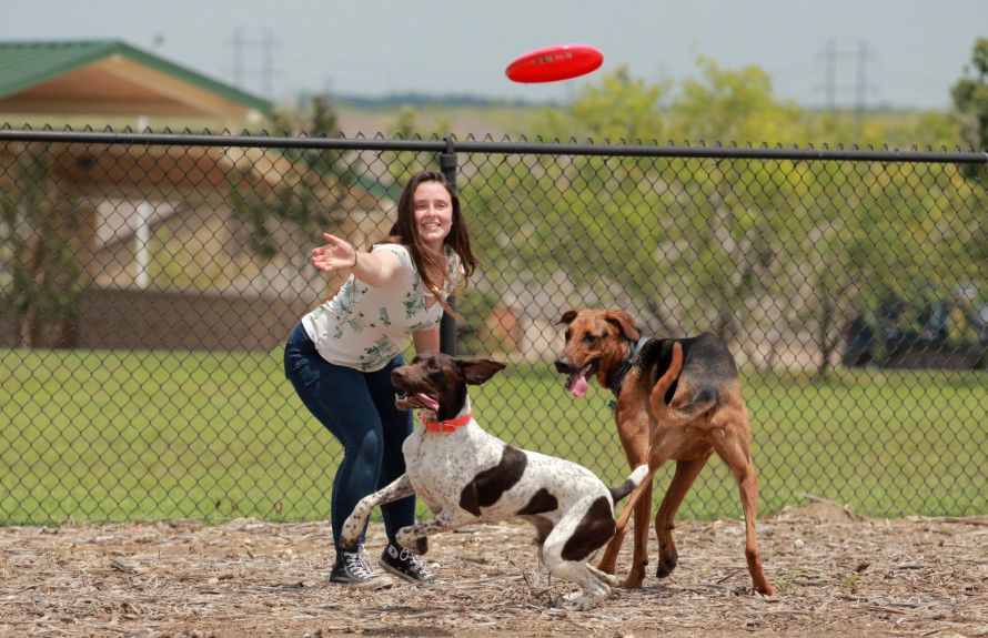 Community Dog Park