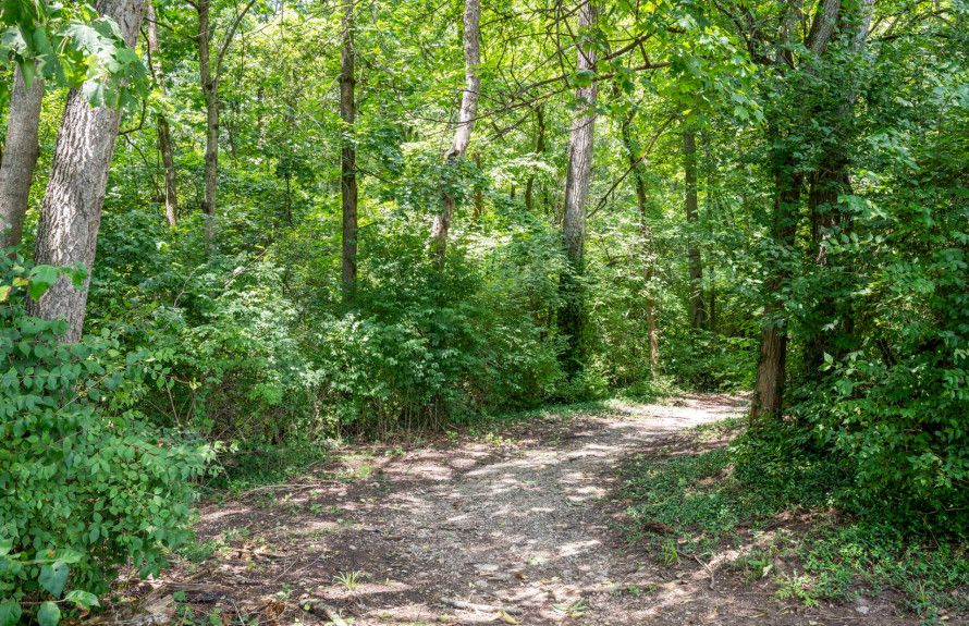 Nearby Trails