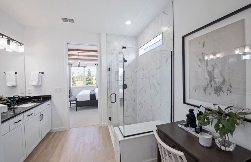 Owner's Bathroom