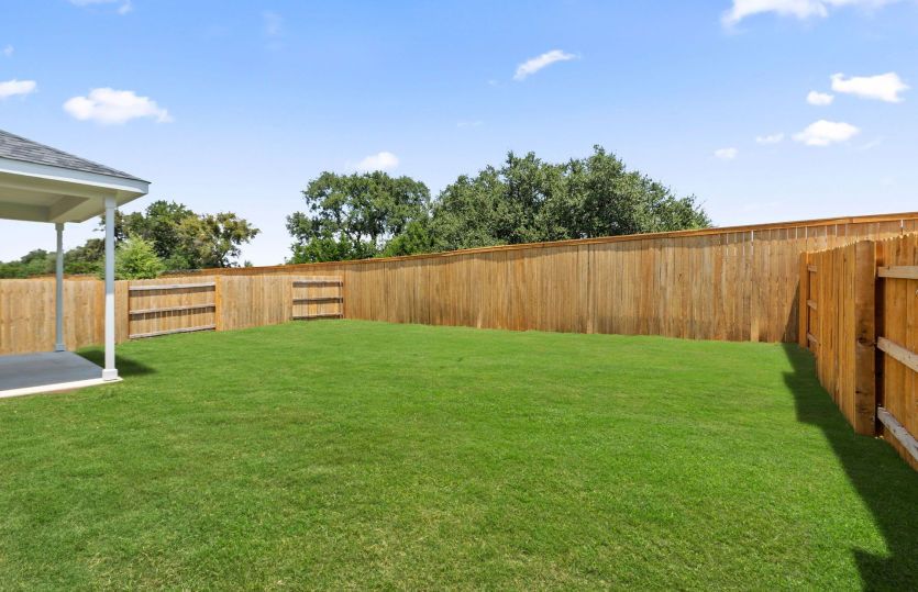 Backyard
