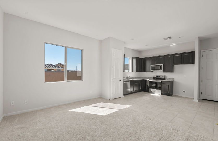 AllGen Suite