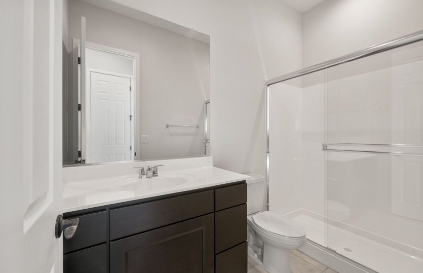 AllGen Suite