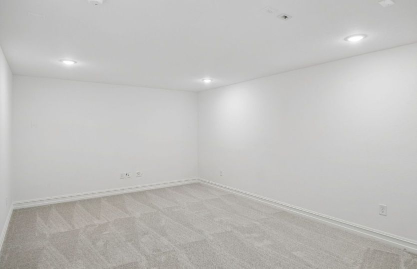 Spacious media room