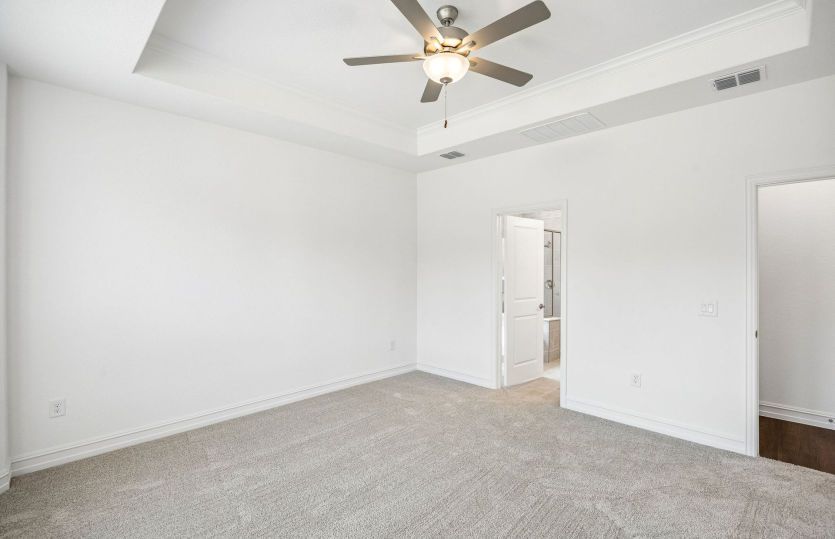 Tray ceiling in primary bedroom