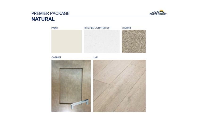 Interior Color Scheme