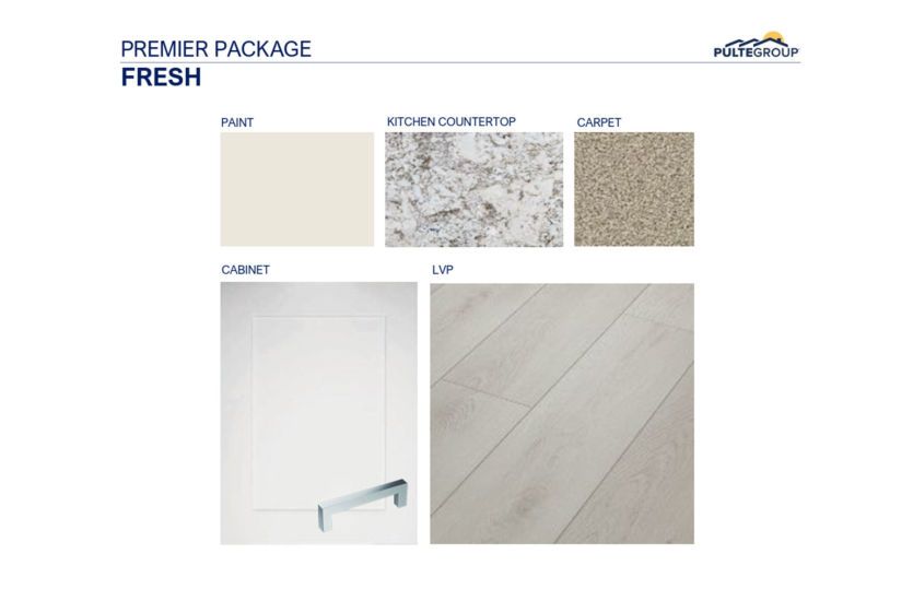 Interior Color Scheme