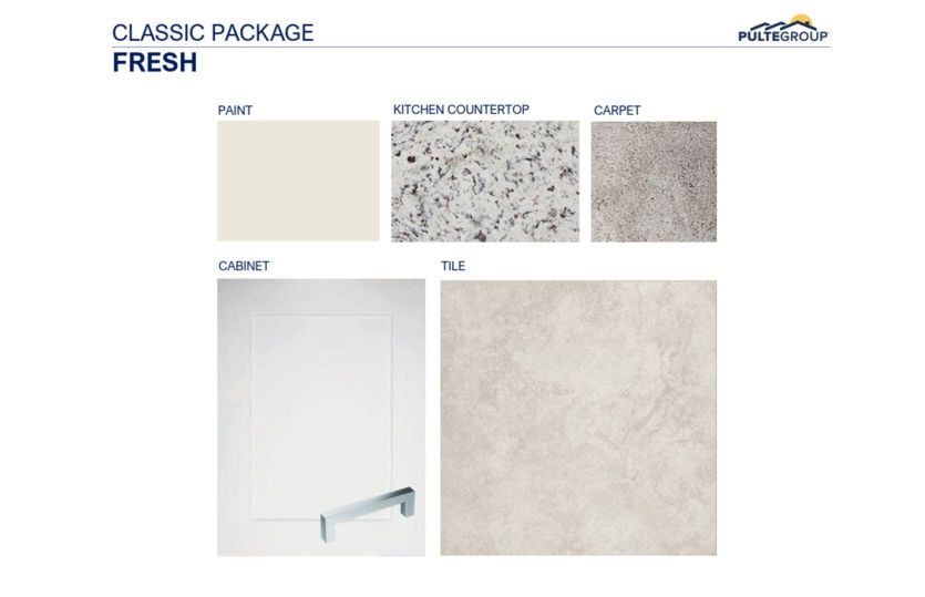 Interior Color Scheme