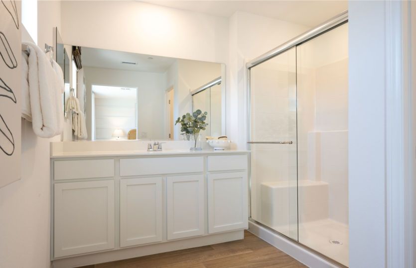 Owner's Bath