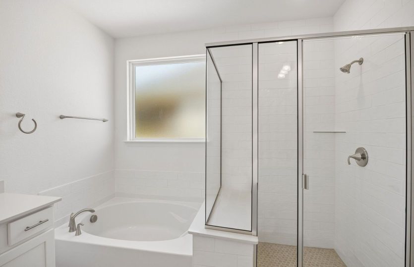Separate tub and shower in primary bath