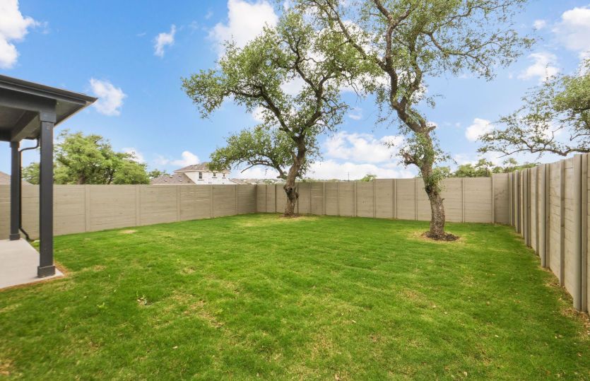 Backyard