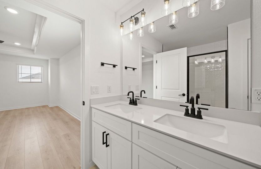 Representational Photo- Primary Bathroom