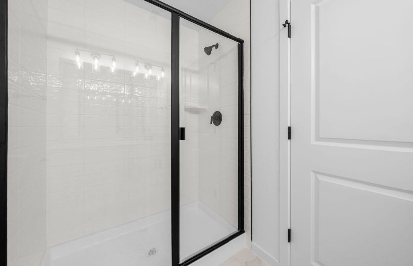 Representational Photo- Primary Bathroom Shower
