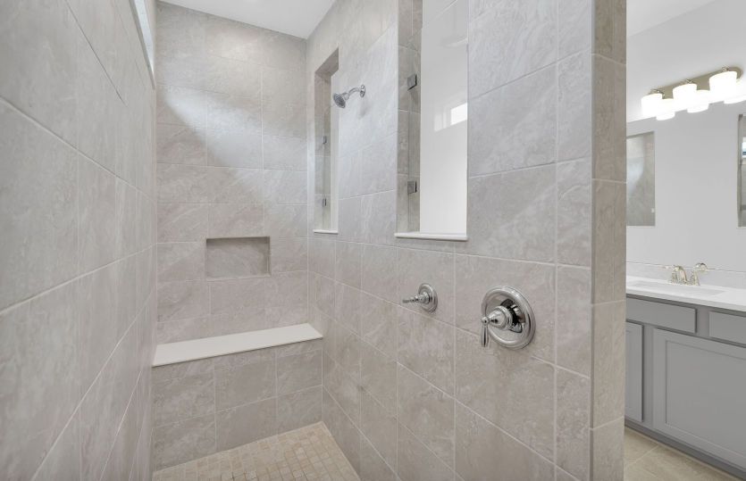 Model Representation | Owner's Walk-In Shower