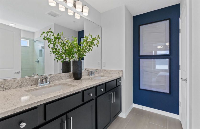 Owner's Bath