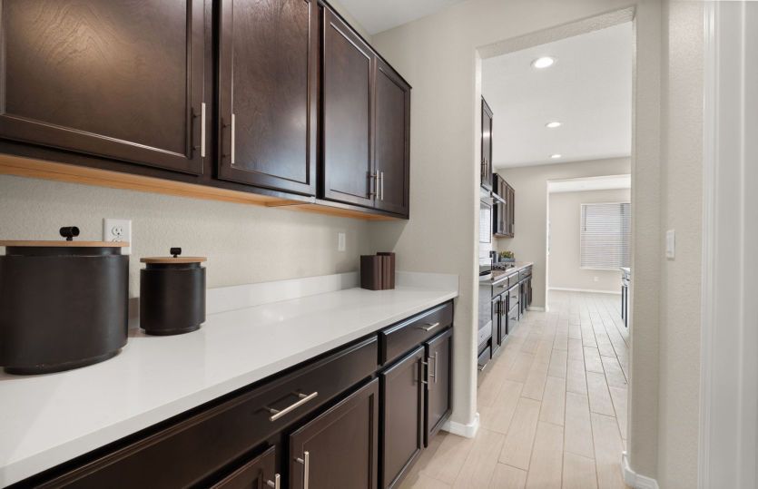 Butler's pantry with additional storage