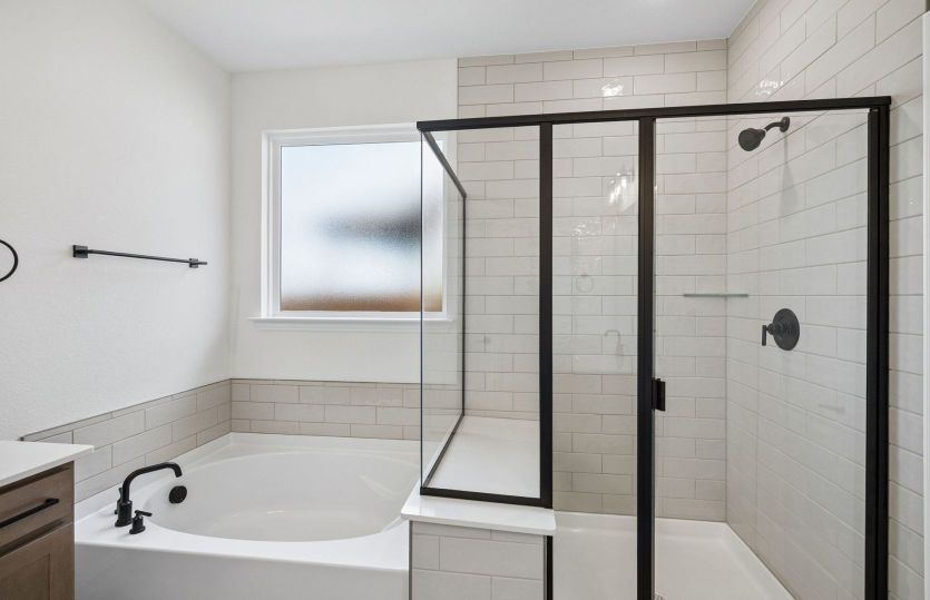 Separate tub and shower in primary bath