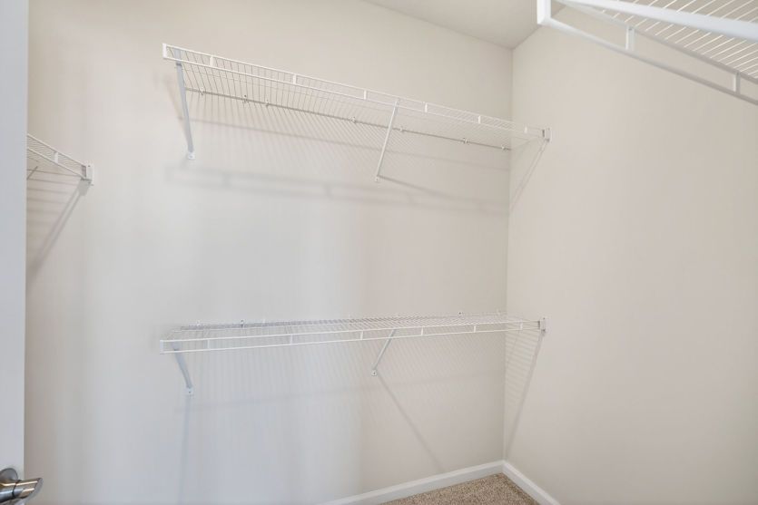 Frankton Home Design