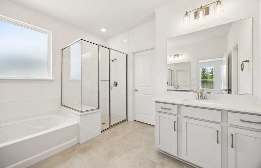 Separate tub and shower in primary bath