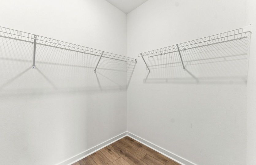 Owner's Walk-in Closet