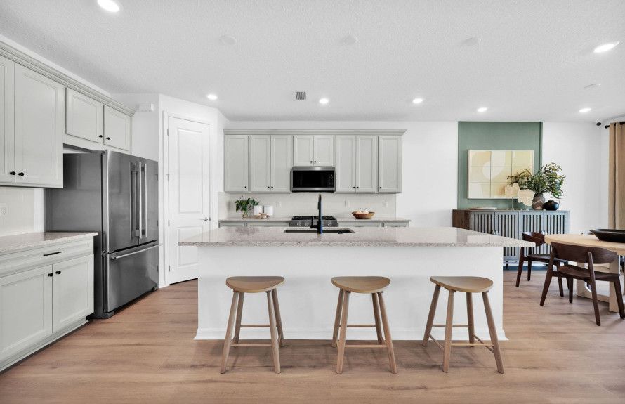 Gourmet Kitchens