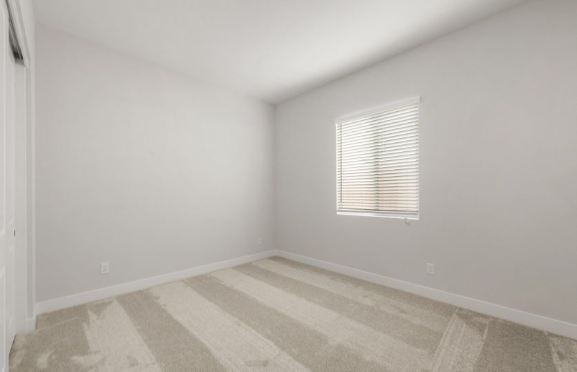 AllGen Suite