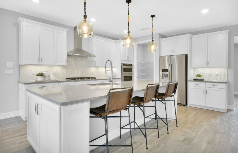 Kitchen with designer finishes