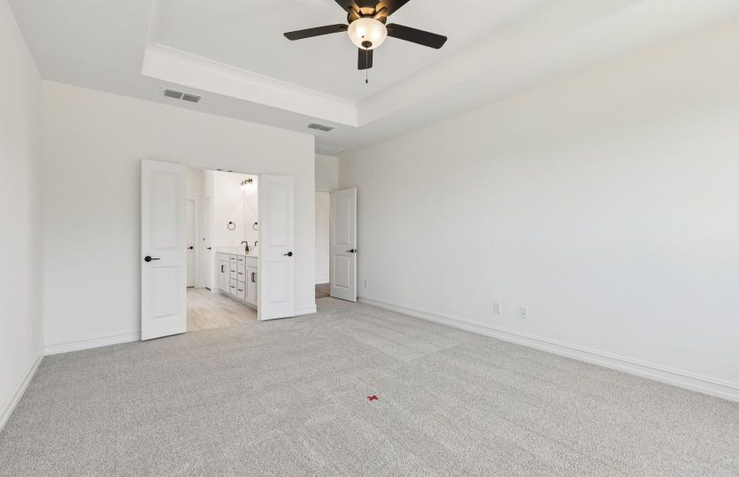 Tray ceiling in primary bedroom