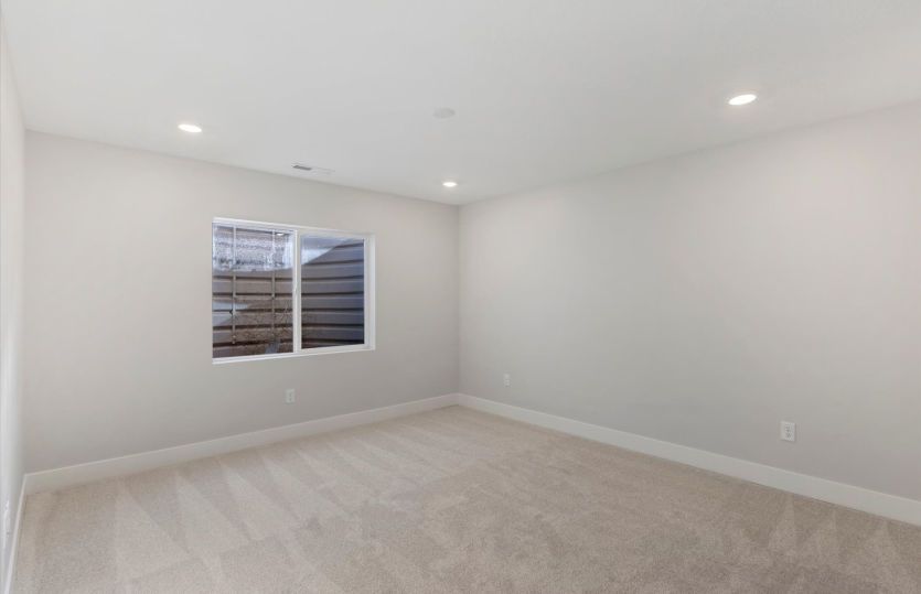 Basement Suite