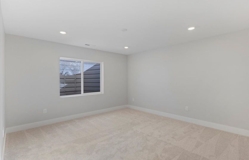 Basement Suite
