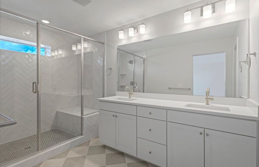 Luxurious Owner's Bath