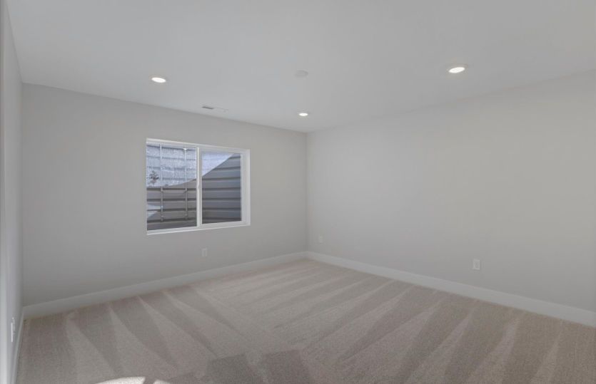 Basement Suite