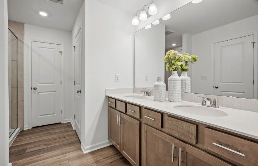 Walk-In Shower